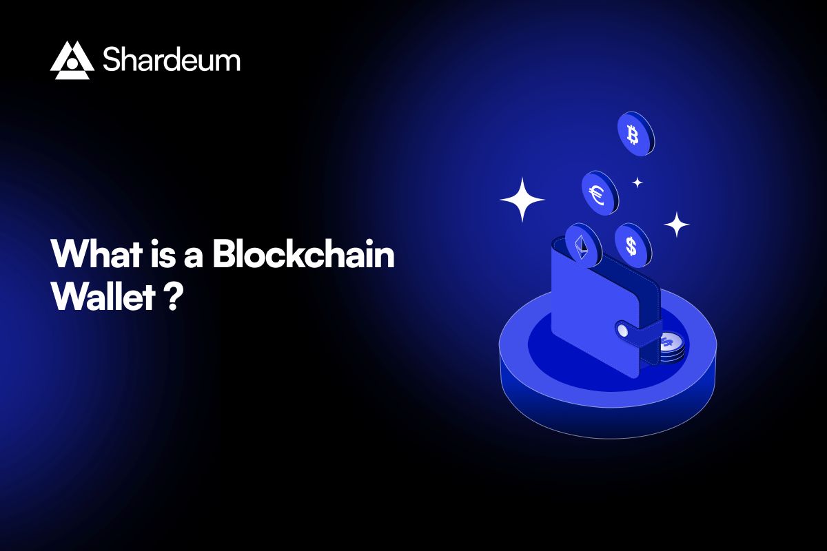 What is a Blockchain Wallet & How Does it Work?
