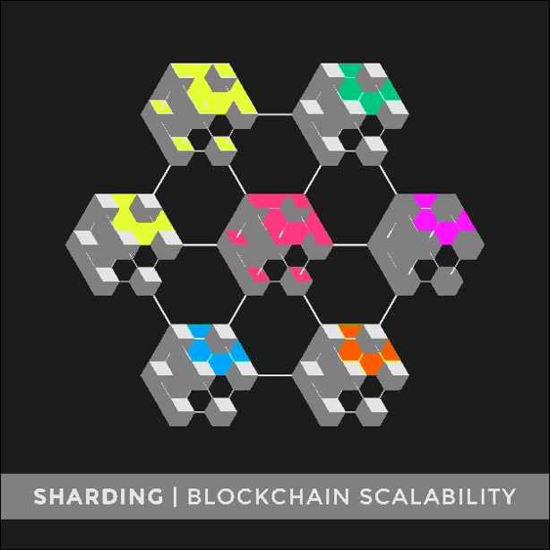What is Layer-1 Sharding What is Layer-1 Sharding