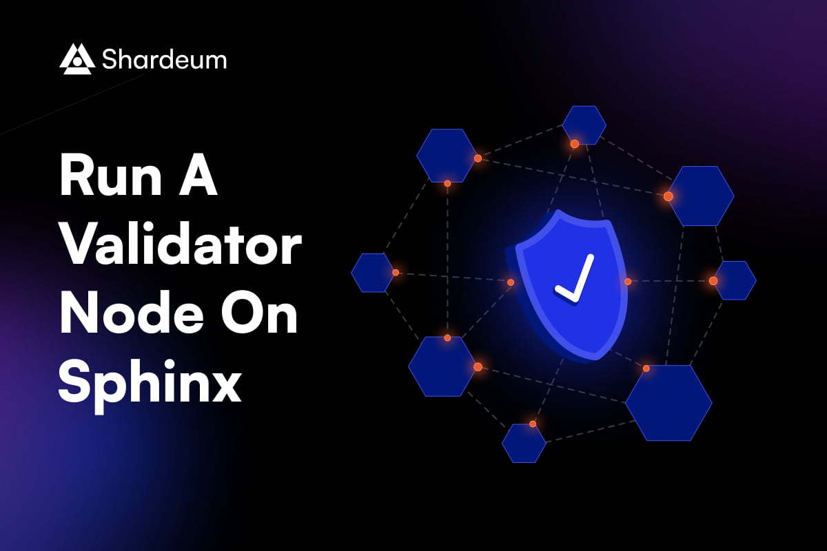 How To Run A Validator Node On Shardeum Sphinx